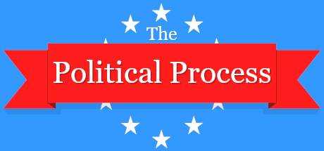 The Political Process
