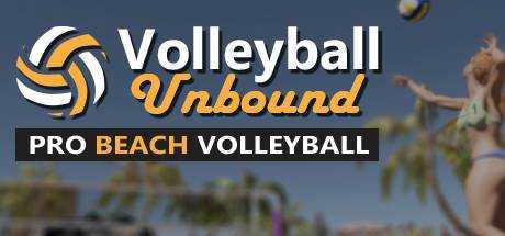 Volleyball Unbound — Pro Beach Volleyball