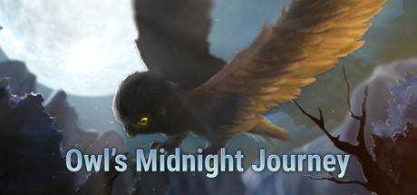 Owl`s Midnight Journey