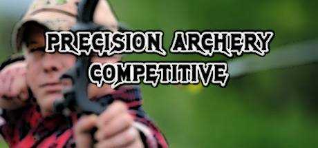 Precision Archery: Competitive