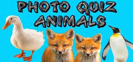 Photo Quiz — Animals