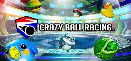 Crazy Ball Racing™