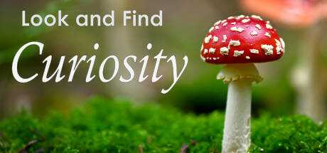 Look and Find — Curiosity