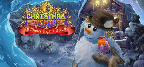 Christmas Adventures: A Winter Night`s Dream