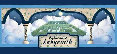 Endurance Labyrinth