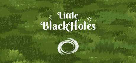 Little Black Holes