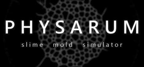 PHYSARUM: Slime Mold Simulator