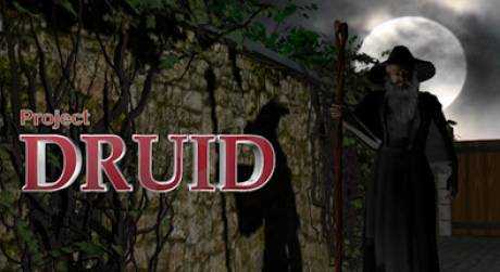 Project Druid — 2D Labyrinth Explorer-