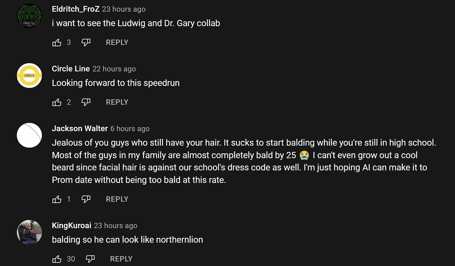 Fans in the YouTube comments section reacting to the streamer&#039;s clip 2/2 (Image via Ludwin Clips/YouTube)